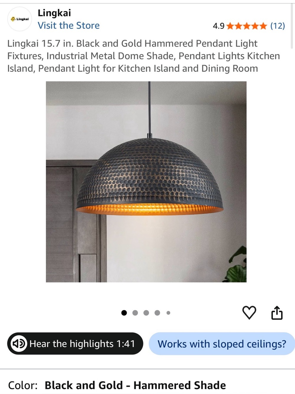 Black & Gold Pendant Light Fixture
